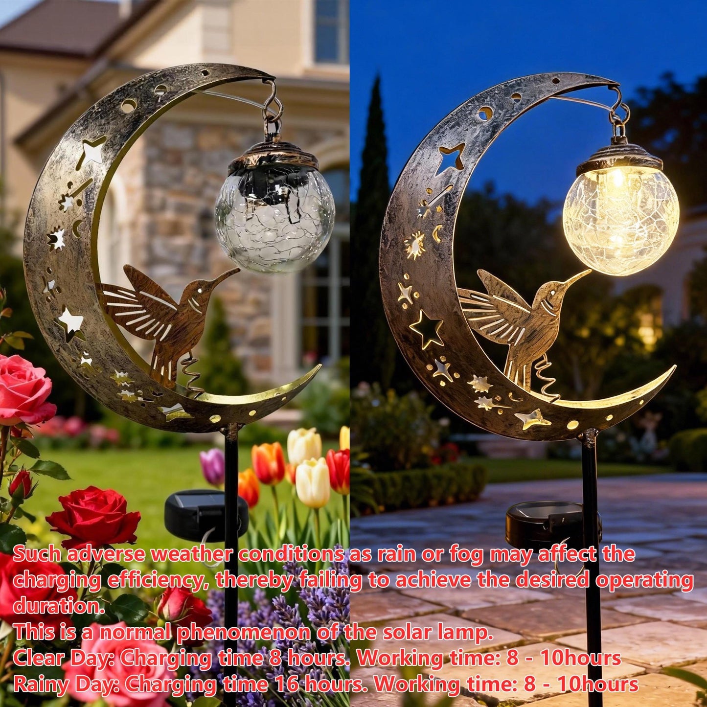 ✨50% off! Today only!🌙The Best Gift Choices
