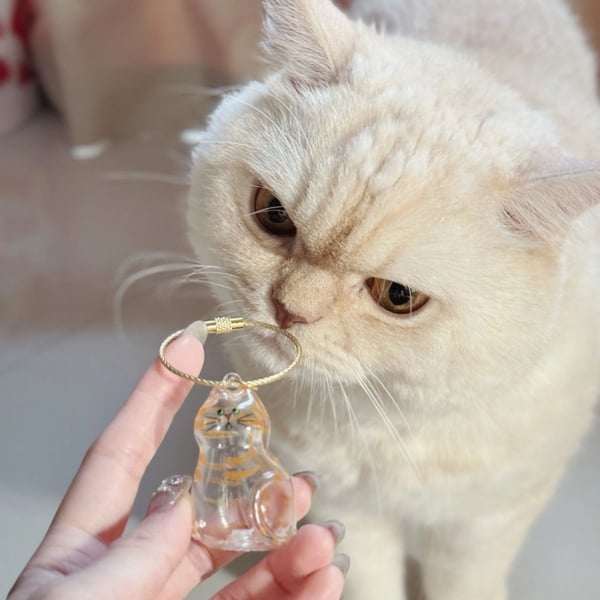 🐾Pet Hair Memorial Capsule Keychain🐈