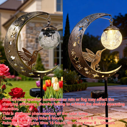 ✨50% off! Today only!🌙The Best Gift Choices